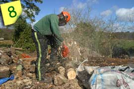 Cutting wood