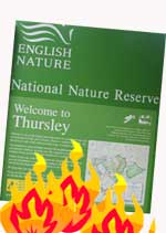 Thursley Nature Reserve Fire