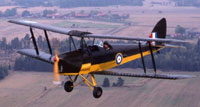 Tiger Moth