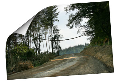 Hindhead Tunnel Construction September 2007