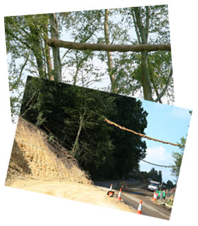 Hindhead Tunnel Construction September 2007