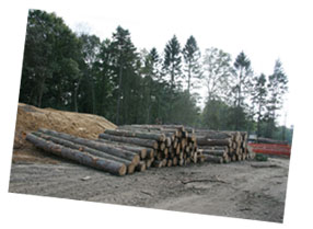 Hindhead Tunnel Construction September 2007