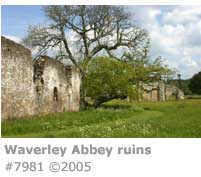 WAVERLEY ABBEY RUINS