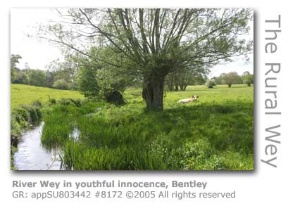 WEY NEAR BENTLEY HAMPSHIRE