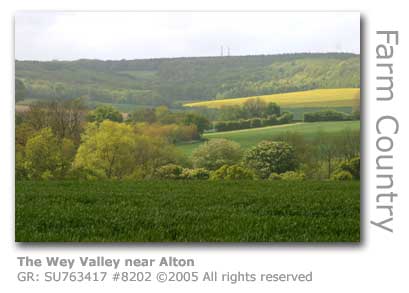 WEY VALLEY NEAR ALTON