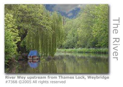 WEY NEAR THAMES LOCK