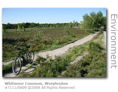 Whitmoor Common, Worplesdon, Guildford, Surrey