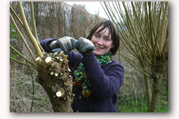 Coppicing