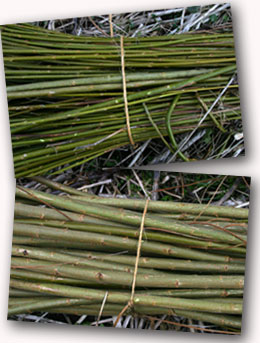 Willow bundles