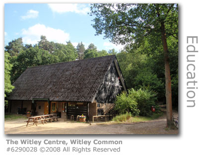 The Witley Centre, Witley Common