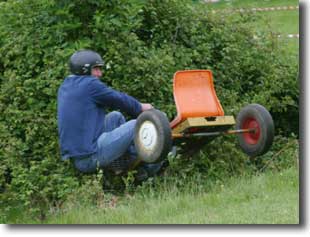 In The Wobbly Bush