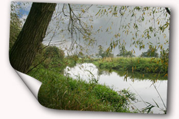 The River Wey by the Queen's apartments