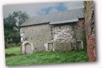 13th century Vault & chimney breast
