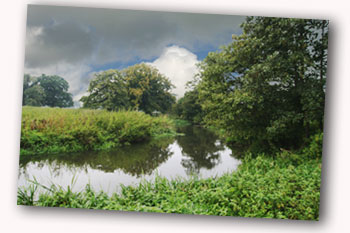 River Wey meander alongside the palace