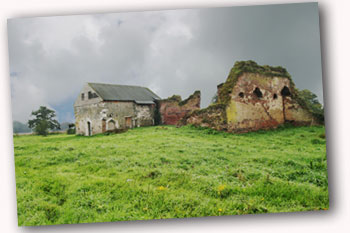 Woking Palace ruins